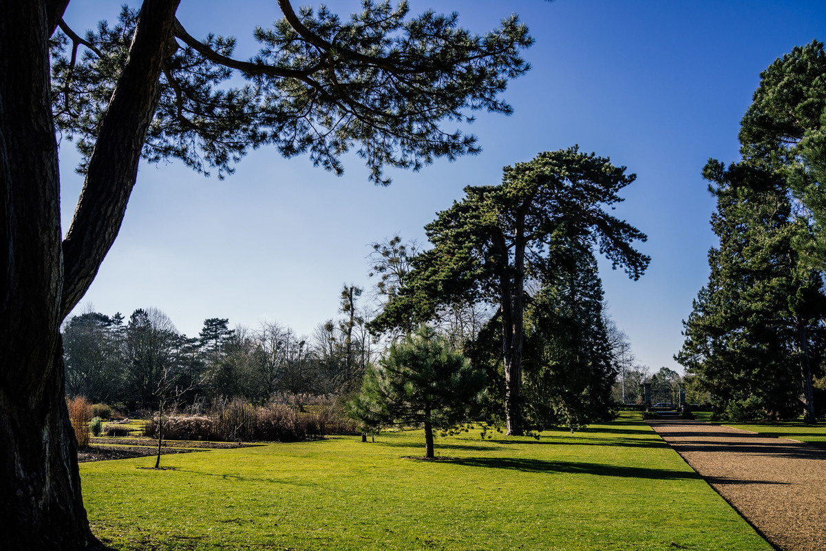 RX1 1/250s f/8.0 ISO100 35mm 