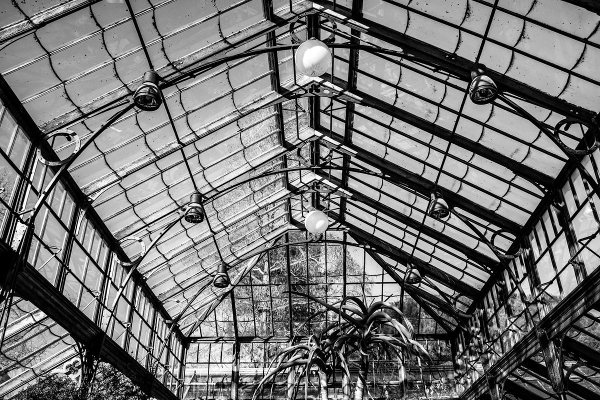 RX1 1/400s f/5.6 ISO100 35mm