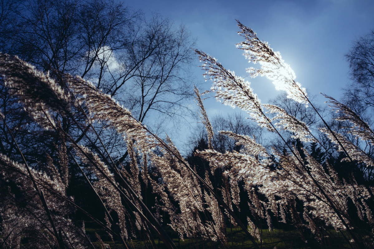 RX1 1/200s f/16.0 ISO100 35mm