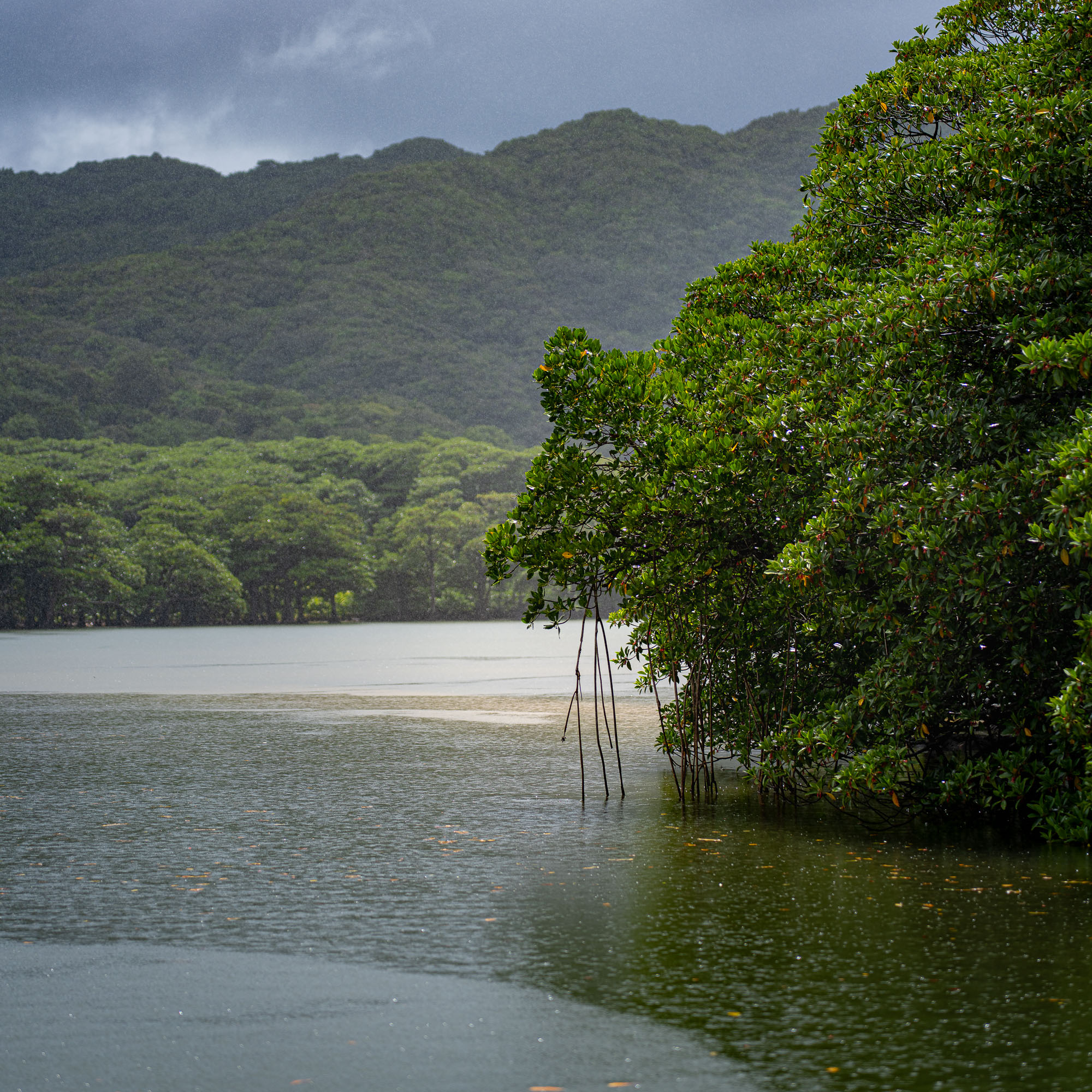 Iriomote-jima, Japan