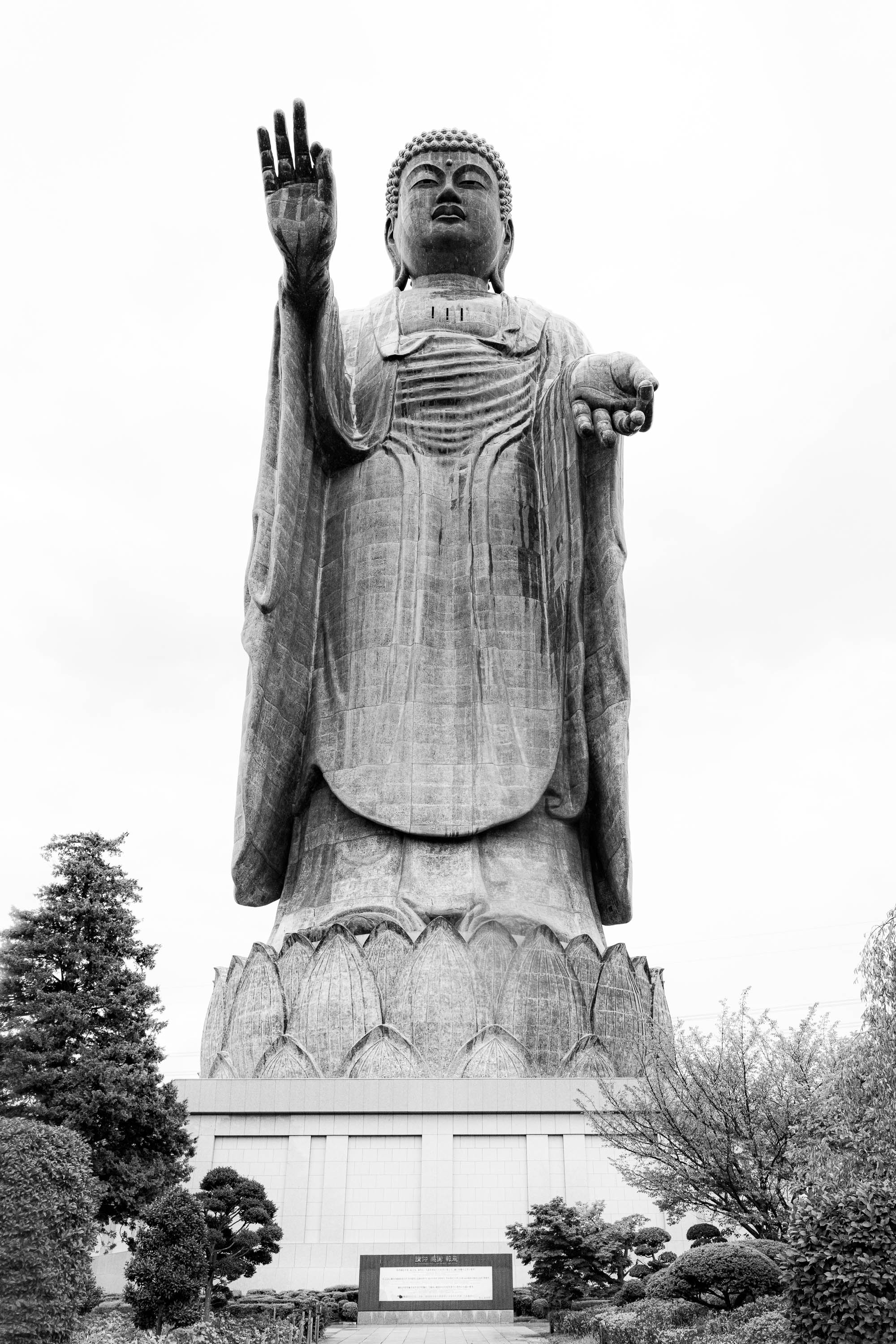 7CR09080_ILCE-7CR_Japan_Summer