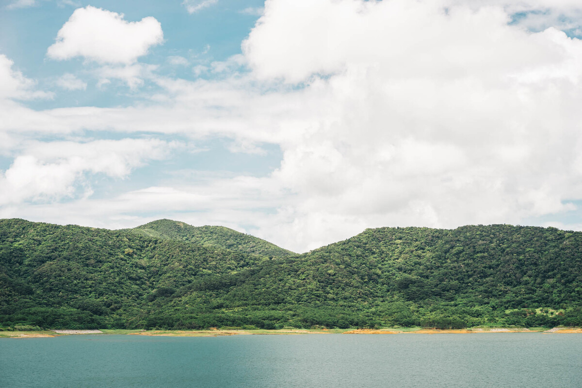 Reservoir | A7R & Leica Macro-Elmarit-R 60mm f/2.8 | 60mm f/8 ISO200 1/250