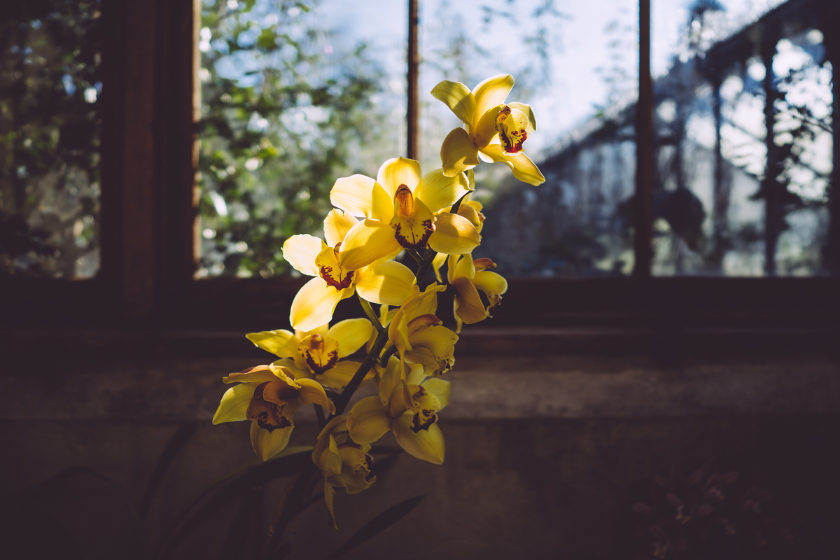 My favourite shot | RX1 | 1/1250s f/2.0 ISO100 35mm